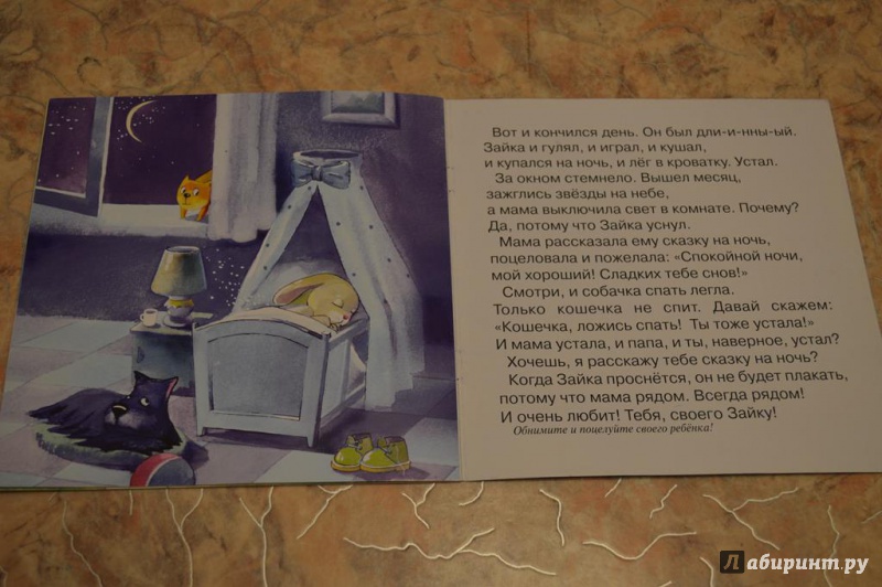 Иллюстрация 4 из 4 для У Зайки в гостях. Для детей от 2-х лет - С. Савушкин | Лабиринт - книги. Источник: Askina