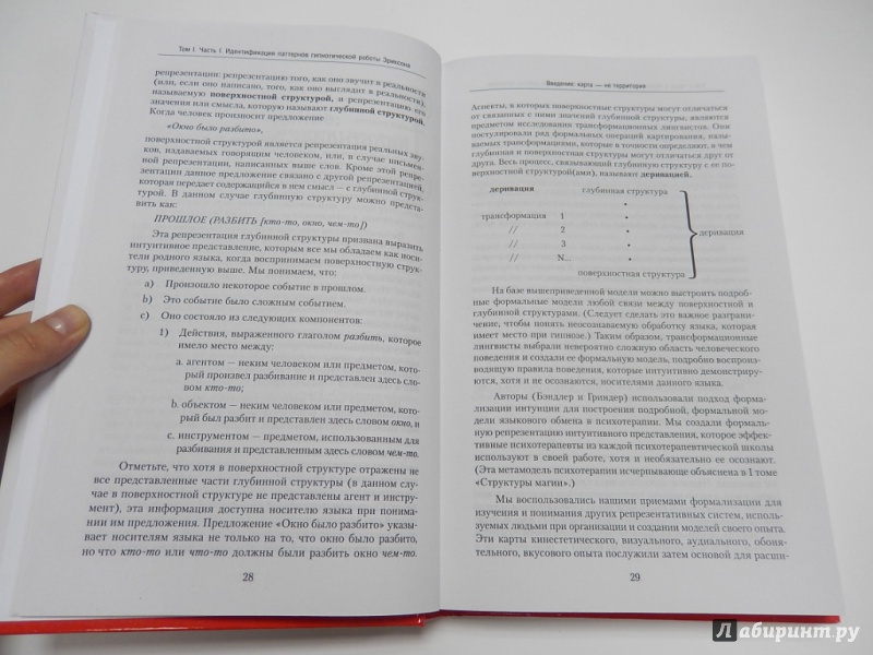 Иллюстрация 6 из 11 для Полный курс гипноза. Паттерны гипнотических техник Милтона Эриксона - Делозье, Эриксон, Бэндлер, Гриндер | Лабиринт - книги. Источник: dbyyb