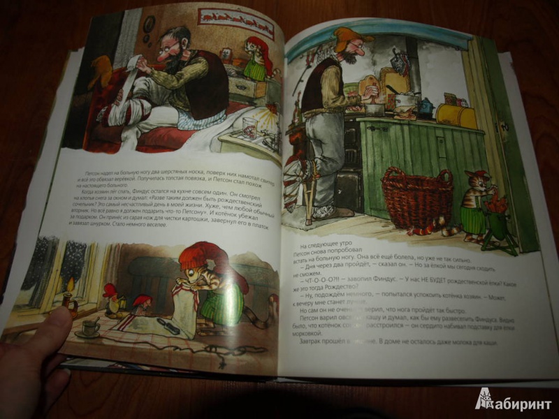 Иллюстрация 23 из 150 для Рождество в домике Петсона - Свен Нурдквист | Лабиринт - книги. Источник: Гусева  Анна Сергеевна