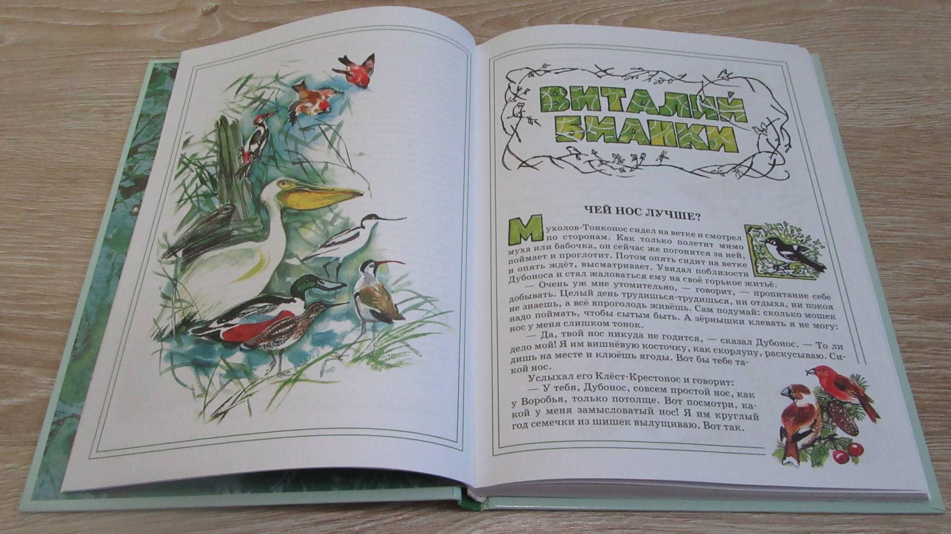 Книга зеленые страницы рассказ 1 бабочки