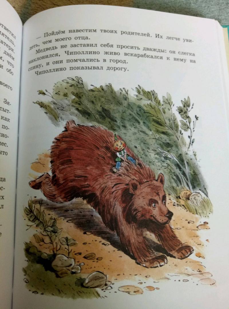 Иллюстрация 165 из 208 для Приключения Чиполлино - Джанни Родари | Лабиринт - книги. Источник: Рубис Олеся