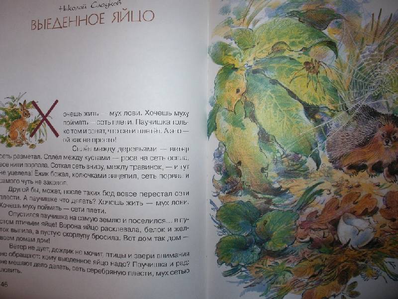 Иллюстрация 6 из 21 для Кот Ворюга: стихи, рассказы, сказки о животных | Лабиринт - книги. Источник: Tiger.