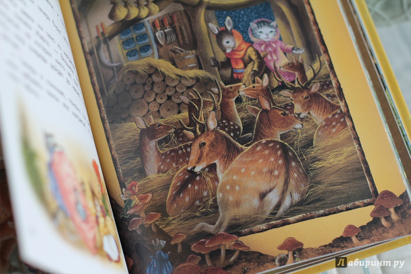 Иллюстрация 26 из 36 для Сказки крольчихи Марты - Ширли Барбер | Лабиринт - книги. Источник: Helga Raven