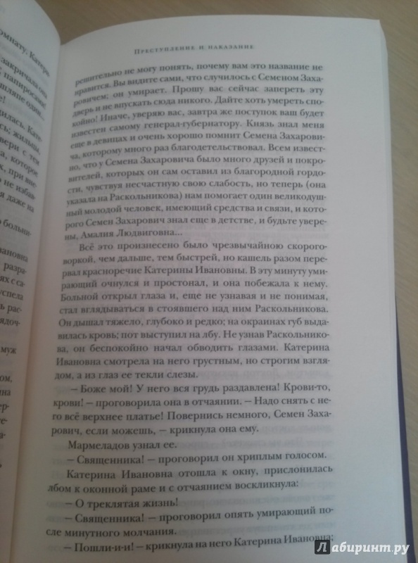 Иллюстрация 7 из 24 для Преступление и наказание - Федор Достоевский | Лабиринт - книги. Источник: Хлебникова Зинаида