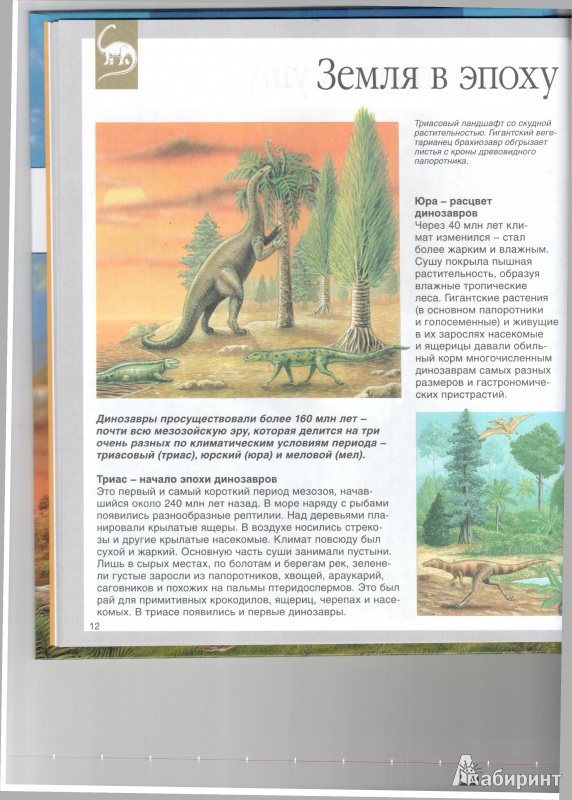 Иллюстрация 9 из 36 для Динозавры - Лора Камбурнак | Лабиринт - книги. Источник: Юлия Короткова