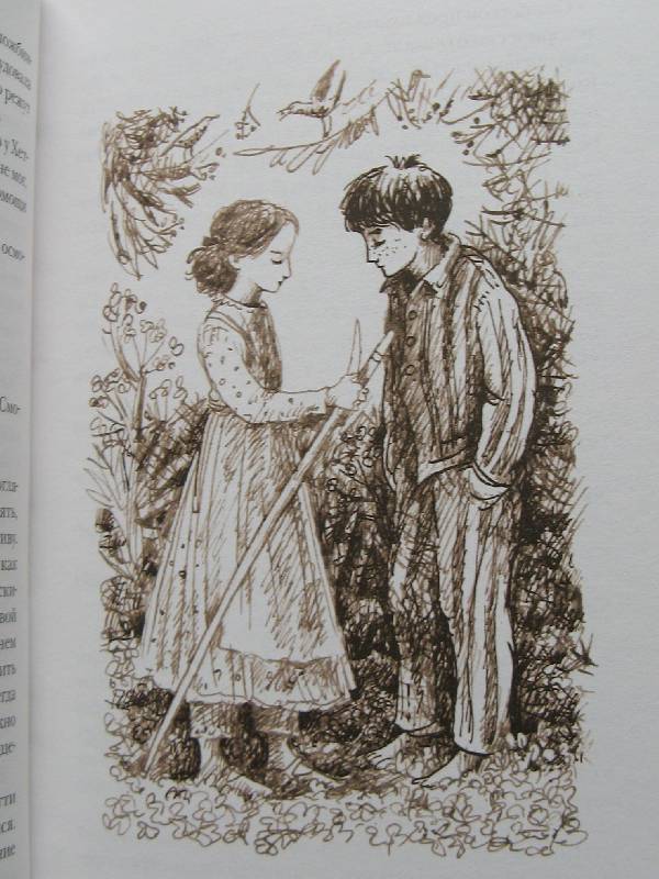 Иллюстрация 14 из 20 для Том и полночный сад - Филиппа Пирс | Лабиринт - книги. Источник: Ольга