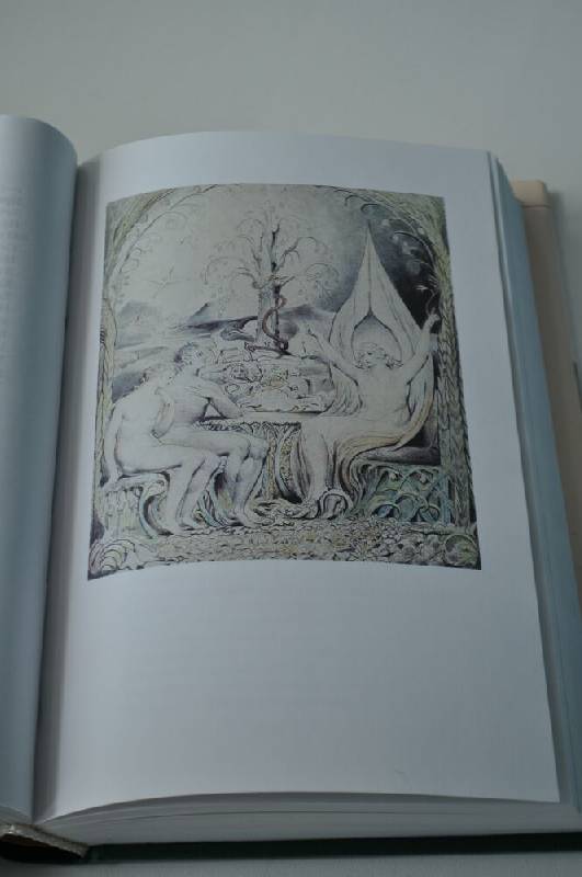 Иллюстрация 10 из 16 для Потерянный рай - Джон Мильтон | Лабиринт - книги. Источник: Хауре
