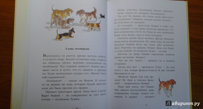 Иллюстрация 28 из 46 для Тузик, Рыжий и гости - Ян Грабовский | Лабиринт - книги. Источник: Викуша-мама