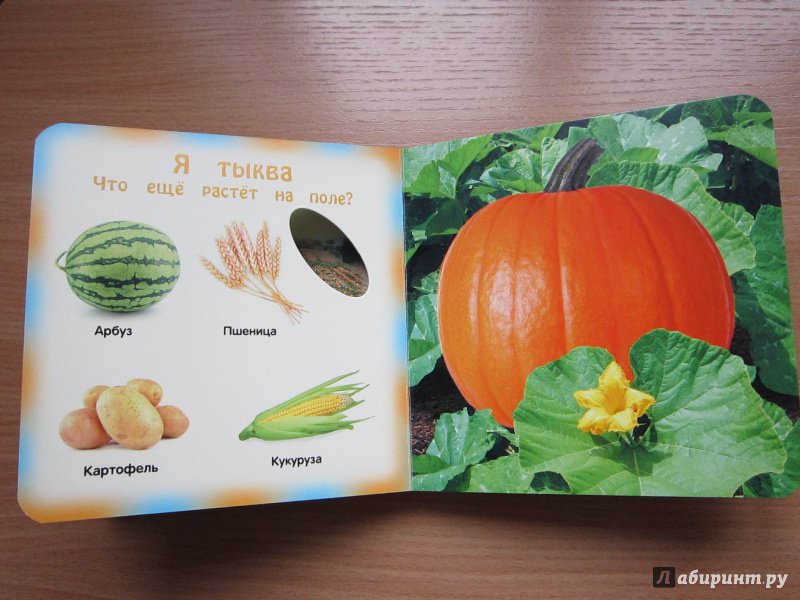 Иллюстрация 8 из 12 для Овощи и фрукты - Анна Прищеп | Лабиринт - книги. Источник: Кулыгина  Елена
