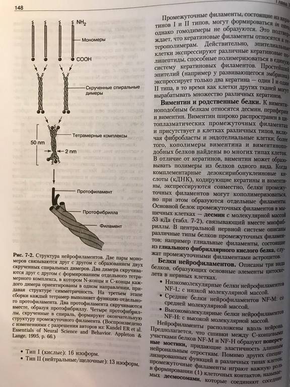 Иллюстрация 32 из 35 для Молекулярная биология клетки. Руководство для врачей - Фаллер, Шилдс | Лабиринт - книги. Источник: Ромыдтчъ