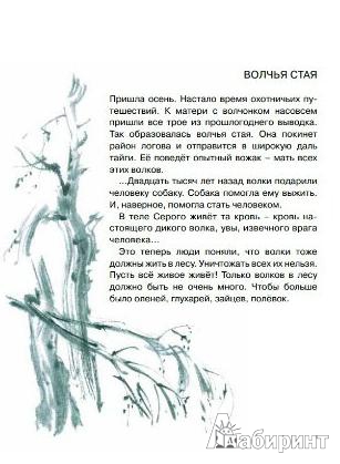 Иллюстрация 6 из 45 для Заячье зеркало - Семен Устинов | Лабиринт - книги. Источник: Ded Sergej