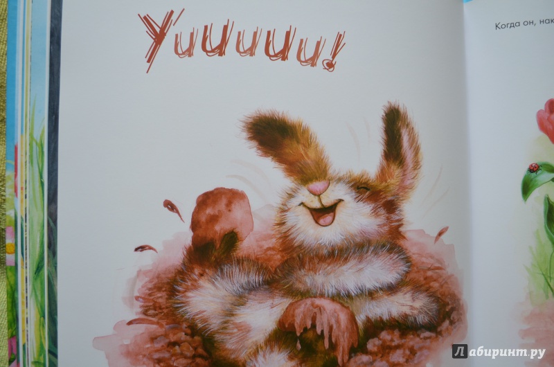 Иллюстрация 11 из 14 для Заяц-чудак и его разноцветные шубки - Лиза МакКью | Лабиринт - книги. Источник: Кузнецова  Марина