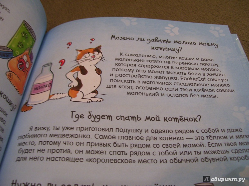 Иллюстрация 24 из 28 для Почему кот мурлычет и ещё 100 ответов на детские "почему" про кошек от PookieCat - Брюгген Ван | Лабиринт - книги. Источник: КошкаПолосатая
