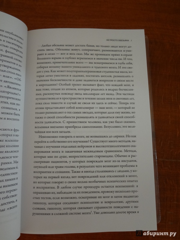 Иллюстрация 22 из 36 для Мозг рассказывает. Что делает нас людьми - Вилейанур Рамачандран | Лабиринт - книги. Источник: Василькова  Мария