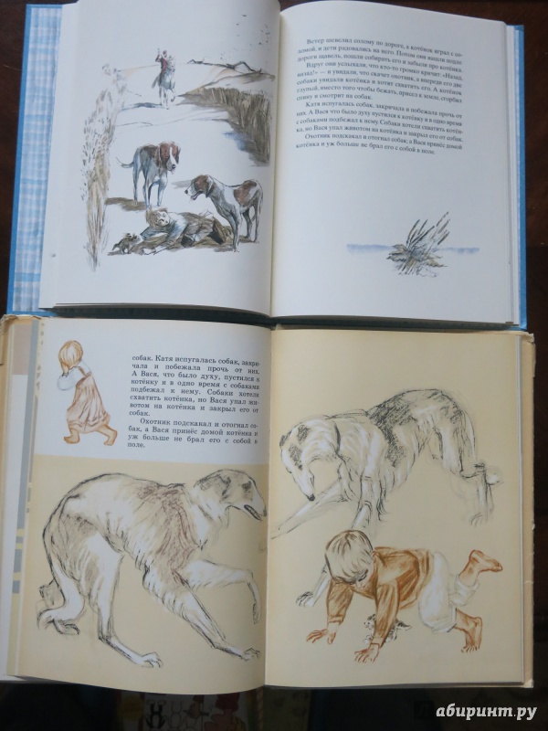 Иллюстрация 67 из 89 для Косточка - Лев Толстой | Лабиринт - книги. Источник: anschaffen