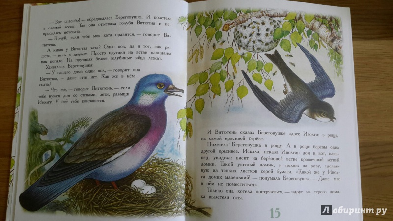 Иллюстрация 12 из 36 для Сказки для детей - Виталий Бианки | Лабиринт - книги. Источник: Елена