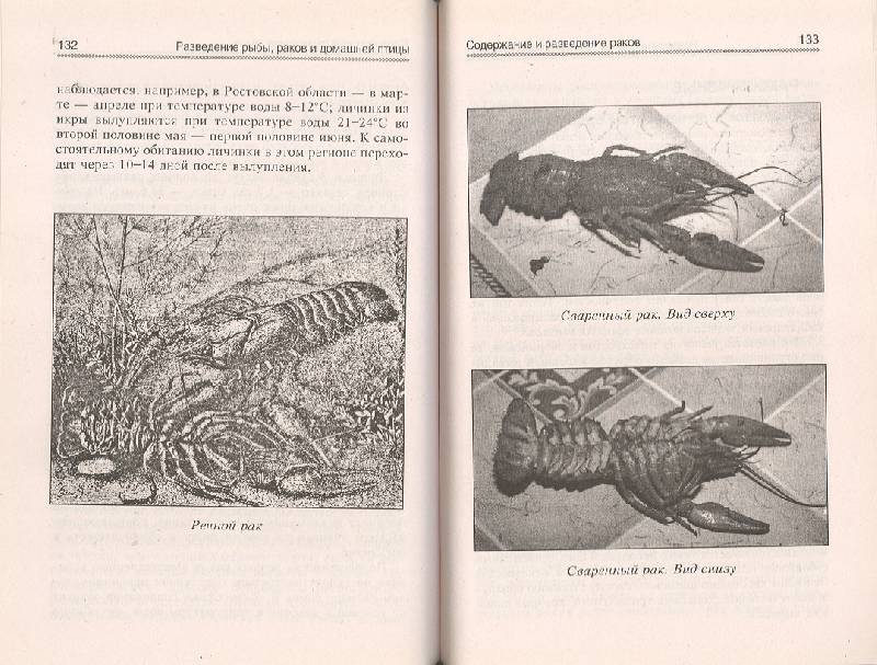 Иллюстрация 12 из 15 для Разведение рыбы, раков и домашней птицы - Юрий Харчук | Лабиринт - книги. Источник: двое деток