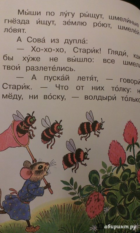 Иллюстрация 16 из 28 для Сказки о животных - Виталий Бианки | Лабиринт - книги. Источник: Савчук Ирина