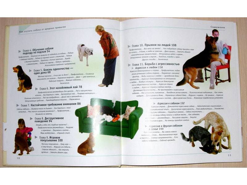 Иллюстрация 7 из 42 для Как отучить собаку от вредных привычек - Колин Теннант | Лабиринт - книги. Источник: Rocio