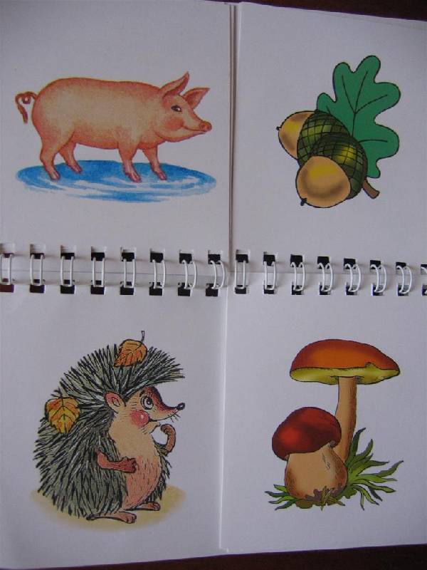 Иллюстрация 4 из 5 для Кто что ест? | Лабиринт - книги. Источник: Крошка Сью