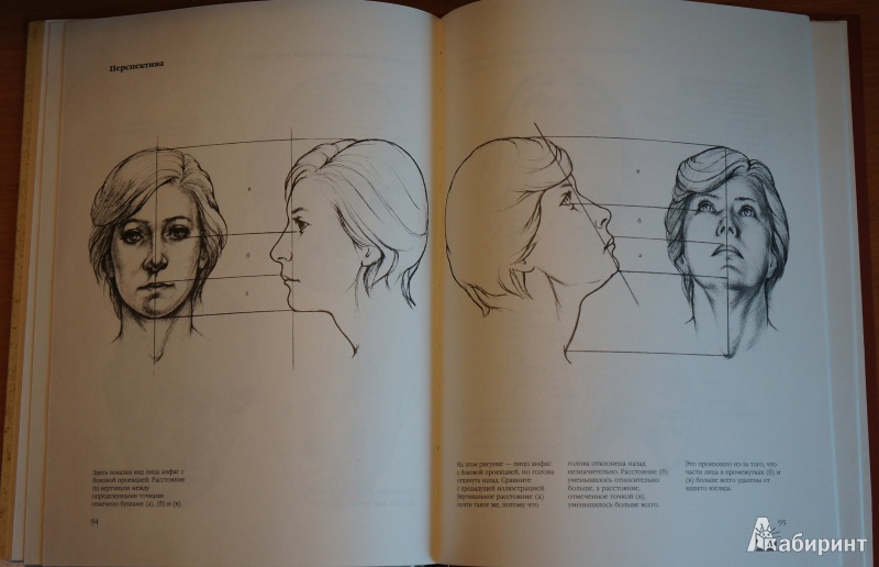 Иллюстрация 7 из 8 для Рисунок. Техника рисования головы - Луиза Гордон | Лабиринт - книги. Источник: ЛенаА
