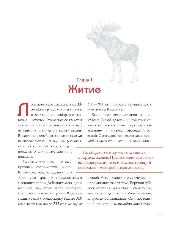 Иллюстрация 8 из 15 для Охота на парнокопытных - Олег Малов | Лабиринт - книги. Источник: Danon