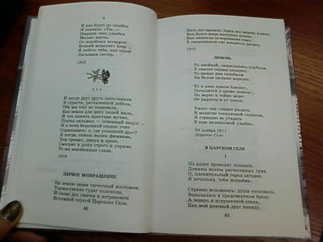 Иллюстрация 43 из 48 для Стихотворения и поэмы - Анна Ахматова | Лабиринт - книги. Источник: lettrice