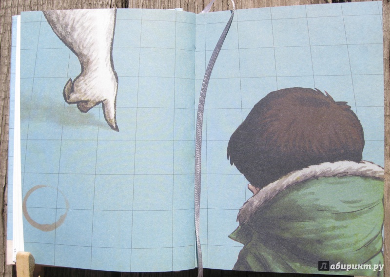 Иллюстрация 32 из 40 для Мальчик и Медведь в лодке - Дейв Шелтон | Лабиринт - книги. Источник: Воробьев  Владимир