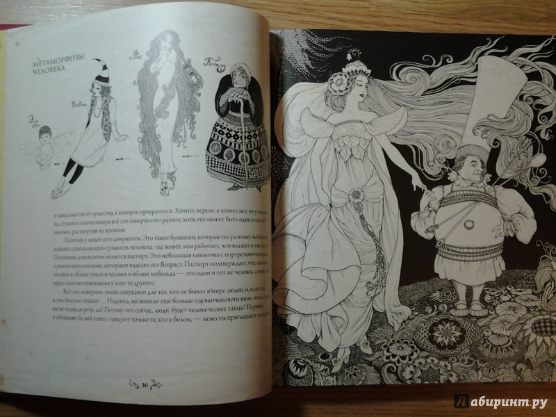 Иллюстрация 42 из 70 для Книга, найденная в кувшинке - Светлана Дорошева | Лабиринт - книги. Источник: Olga