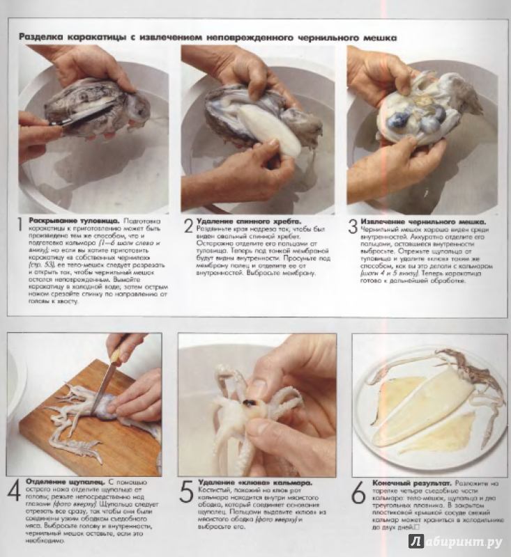 Иллюстрация 6 из 12 для Рыба и морепродукты. Большая кулинарная книга | Лабиринт - книги. Источник: Морозова  Карина