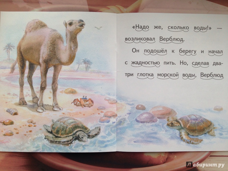 Иллюстрация 5 из 15 для Верблюд и море - Николай Красильников | Лабиринт - книги. Источник: Кузнецова  Ирина