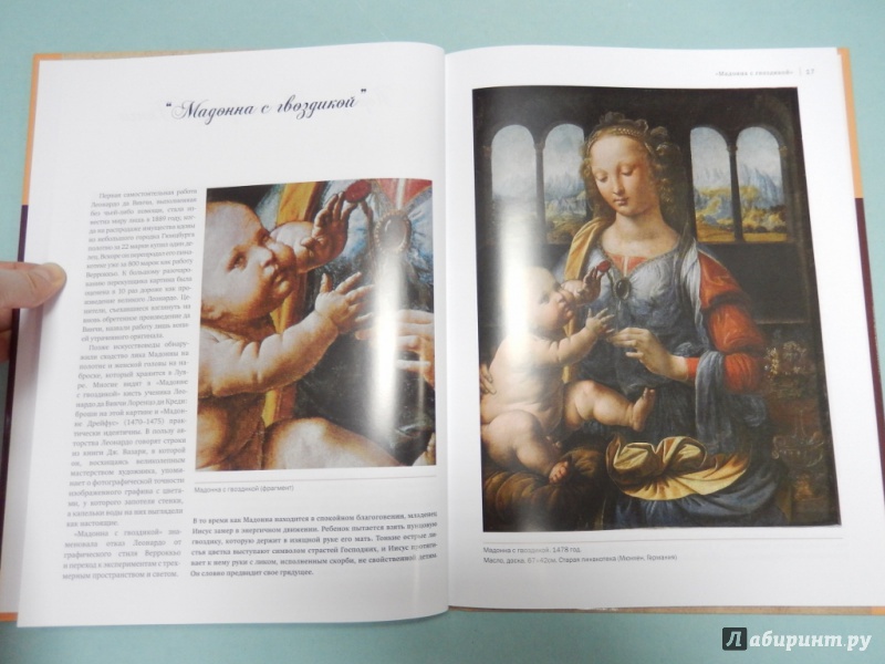 Иллюстрация 10 из 23 для Леонардо да Винчи - Андрей Борисюк | Лабиринт - книги. Источник: dbyyb