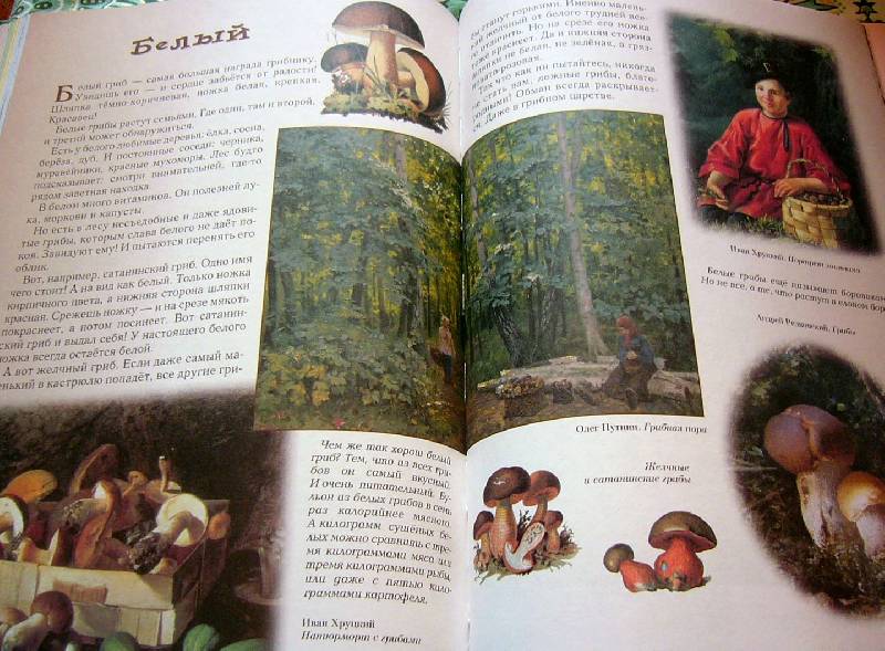 Иллюстрация 45 из 94 для Прогулки по лесу - Сергей Махотин | Лабиринт - книги. Источник: Nika