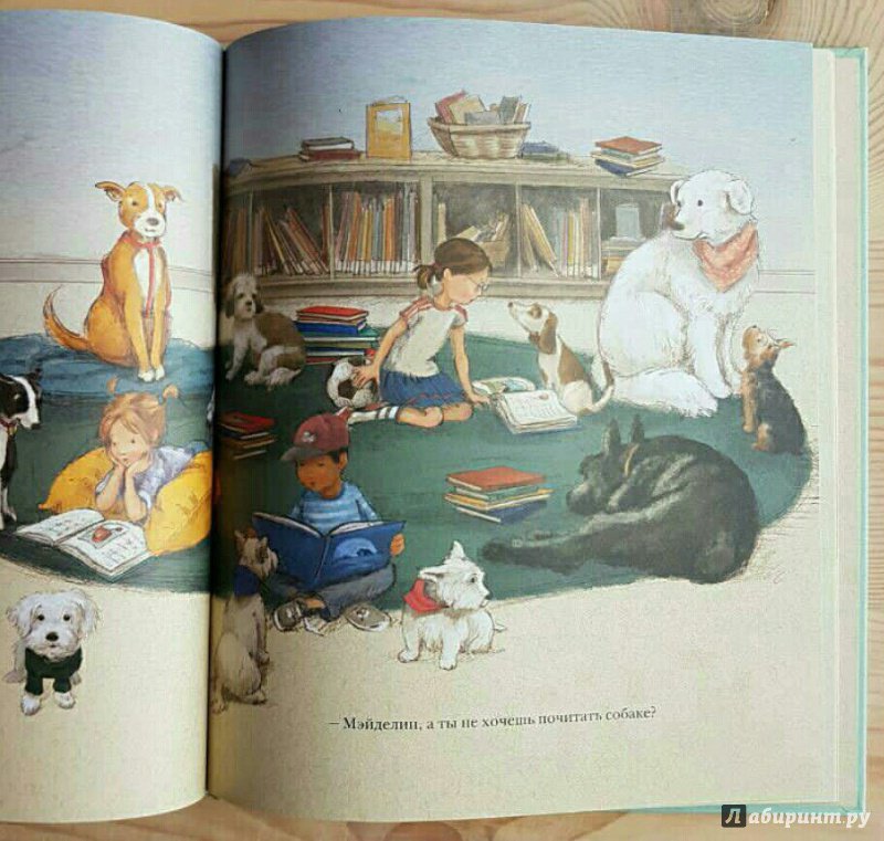 Иллюстрация 36 из 48 для Мэйделин Финн и библиотечная собака - Лиза Папп | Лабиринт - книги. Источник: bookchik