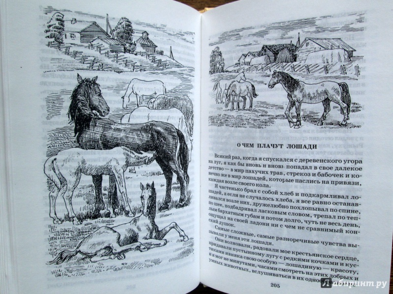 Иллюстрация 15 из 54 для О чем плачут лошади - Федор Абрамов | Лабиринт - книги. Источник: Зеленая шляпа