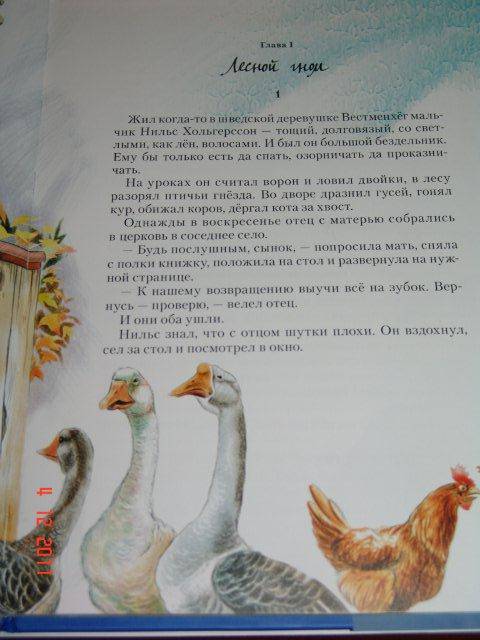 Иллюстрация 5 из 30 для Чудесное путешествие Нильса с дикими гусями - Сельма Лагерлеф | Лабиринт - книги. Источник: М-и-л-е-н-а