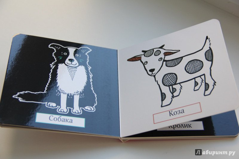 Иллюстрация 4 из 29 для Кошка и другие животные | Лабиринт - книги. Источник: Тигран