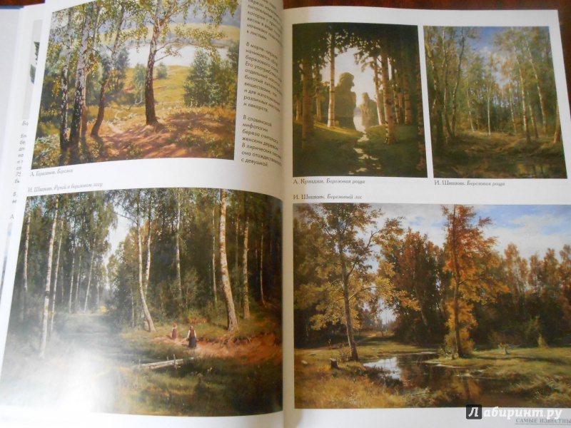 Иллюстрация 19 из 39 для Самые известные деревья | Лабиринт - книги. Источник: Леан