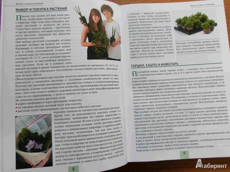 Иллюстрация 7 из 16 для Комнатные растения от А до Я - Валентин Воронцов | Лабиринт - книги. Источник: стрелка