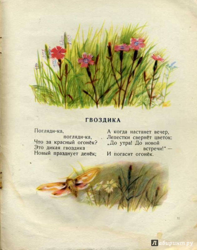 Иллюстрация 16 из 69 для Наши цветы - Екатерина Серова | Лабиринт - книги. Источник: pippilotta