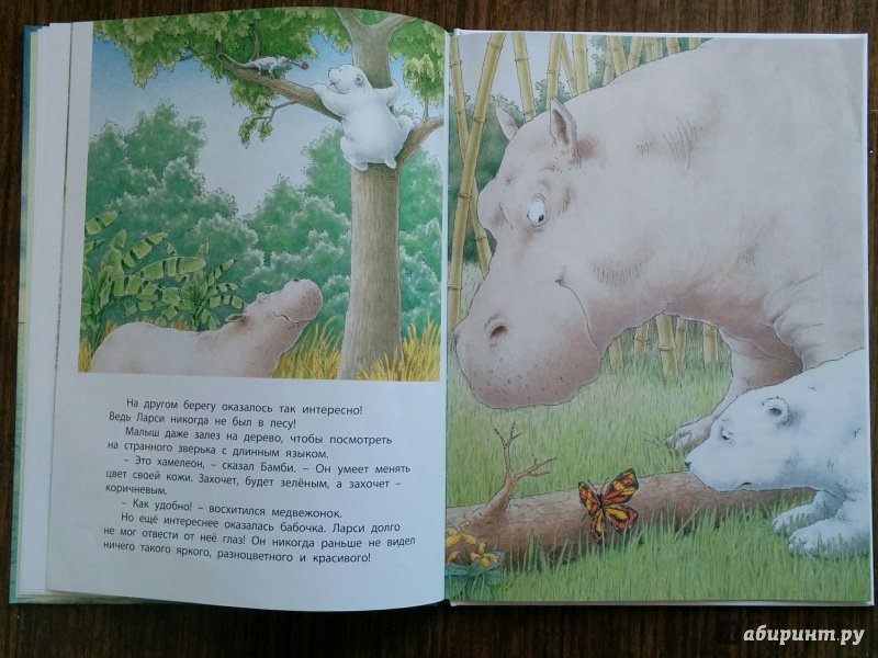 Иллюстрация 28 из 49 для Приключение белого медвежонка - Беер Де | Лабиринт - книги. Источник: Natalie Leigh