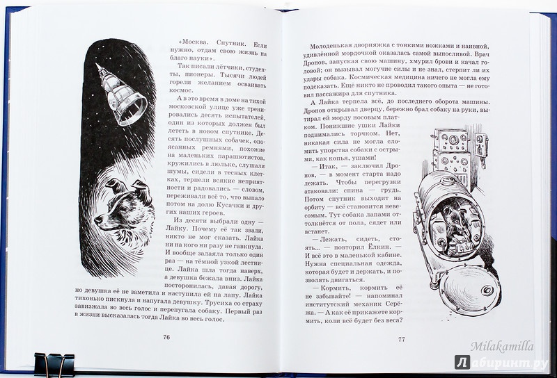 Иллюстрация 57 из 65 для Тяпа, Борька и ракета - Баранова, Велтистов | Лабиринт - книги. Источник: Букландия