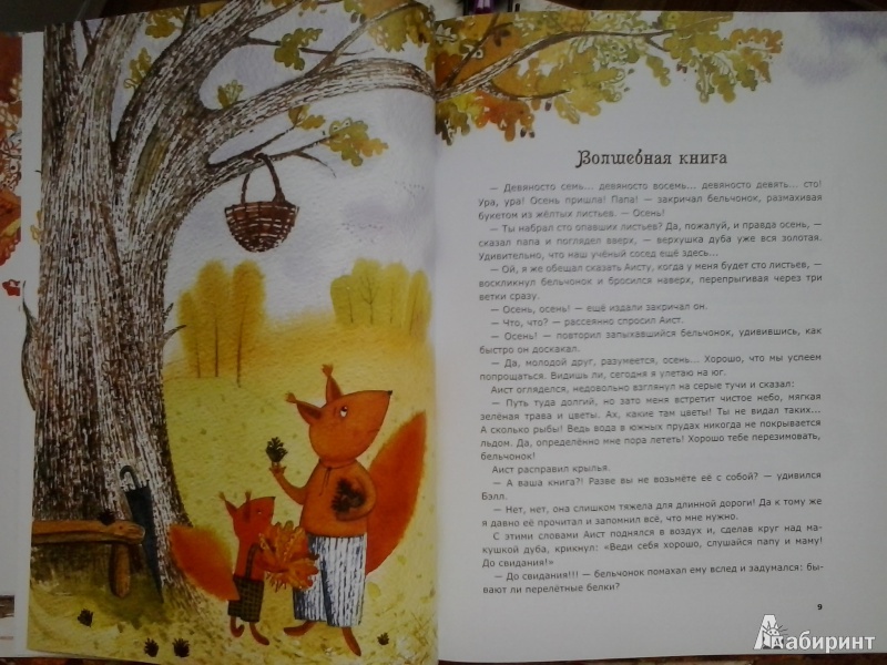 Иллюстрация 25 из 48 для Бельчонок, его друзья и волшебная книга - Ольга Фадеева | Лабиринт - книги. Источник: Dogdik