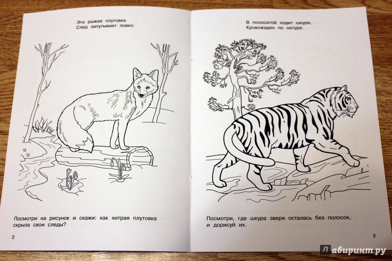 Иллюстрация 4 из 8 для Лесные жители - М. Земнов | Лабиринт - книги. Источник: Террил