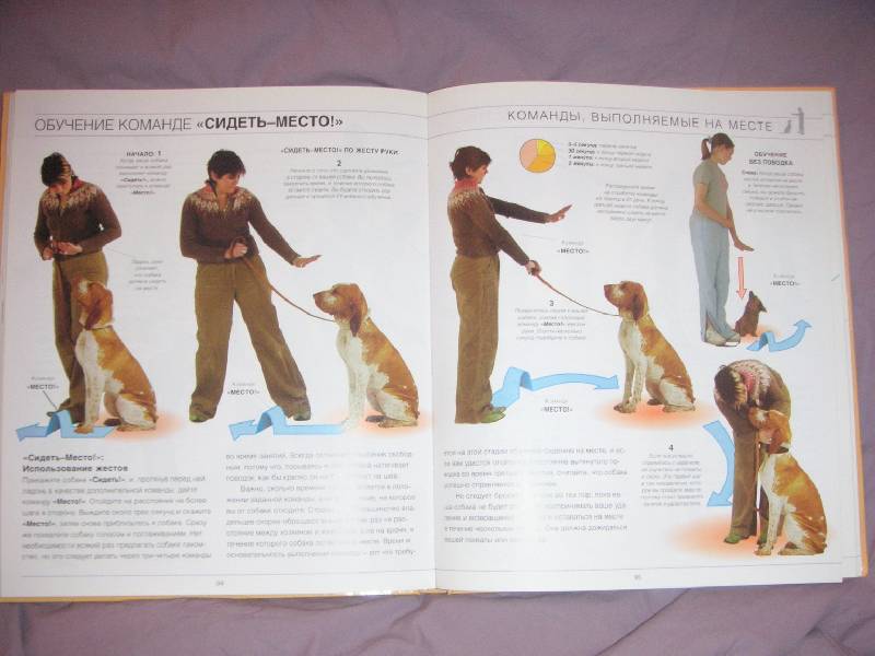 Иллюстрация 3 из 17 для Дрессировка собаки за 21 день - Колин Теннант | Лабиринт - книги. Источник: kisska