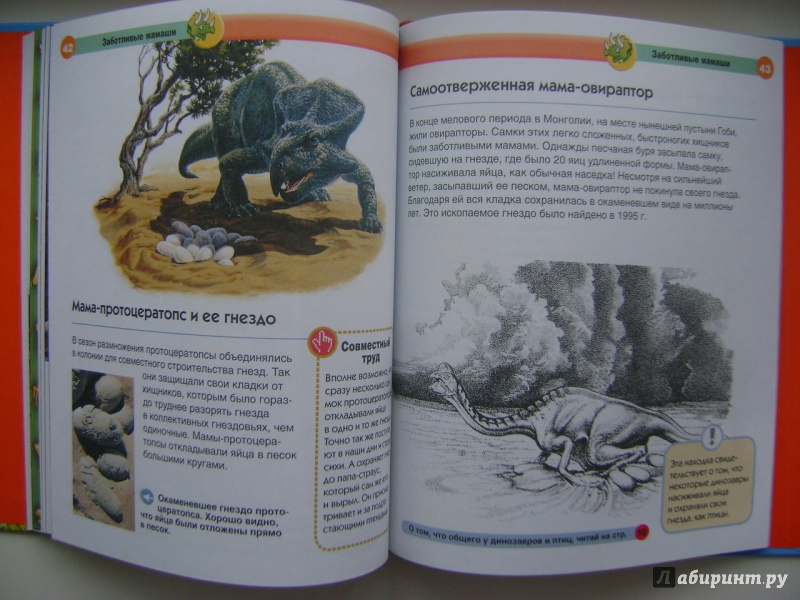 Иллюстрация 33 из 48 для Динозавры - Мария Боцци | Лабиринт - книги. Источник: Саша Юрина