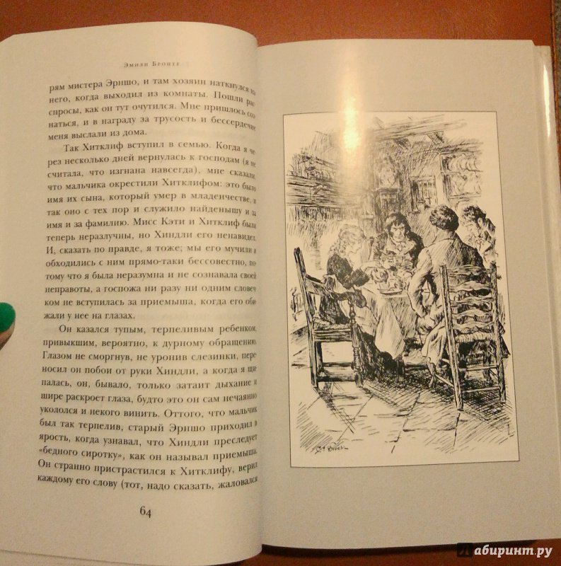 Иллюстрация 24 из 33 для Грозовой перевал - Эмили Бронте | Лабиринт - книги. Источник: Филиппова  Алёна