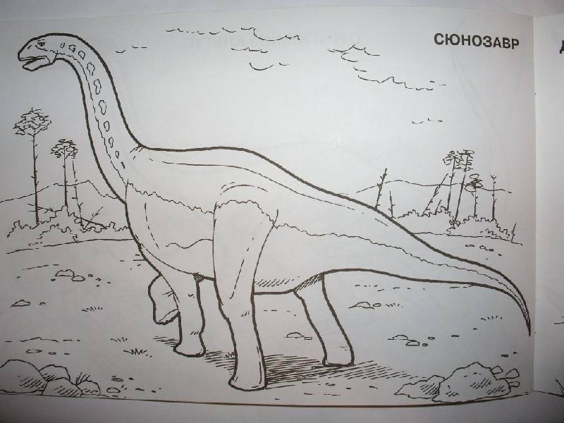 Иллюстрация 5 из 5 для Мир животных: Динозавры-2 (раскраска) | Лабиринт - книги. Источник: Tiger.