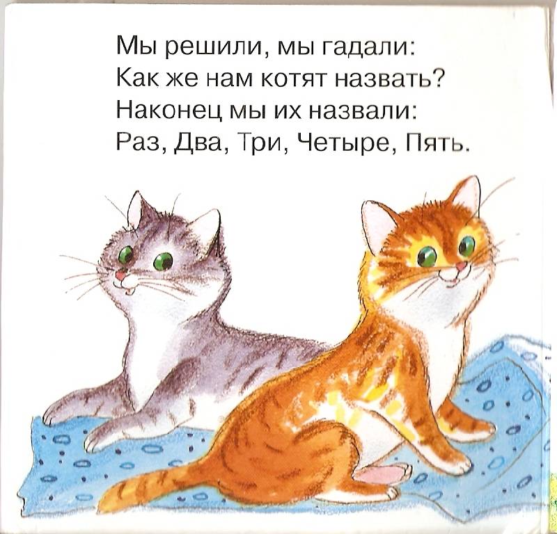 Главная мысль стихотворения котенок. Стихи про котят. Стих про кошку. Стихотворение котята. Котенок ситх.