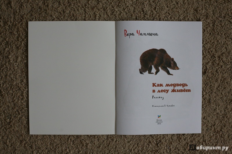 Иллюстрация 23 из 44 для Как медведь в лесу живёт - Вера Чаплина | Лабиринт - книги. Источник: дважды